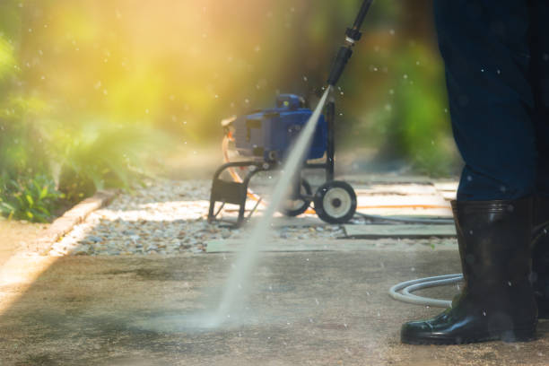 Animal Enclosure Cleaning in Navesink, NJ